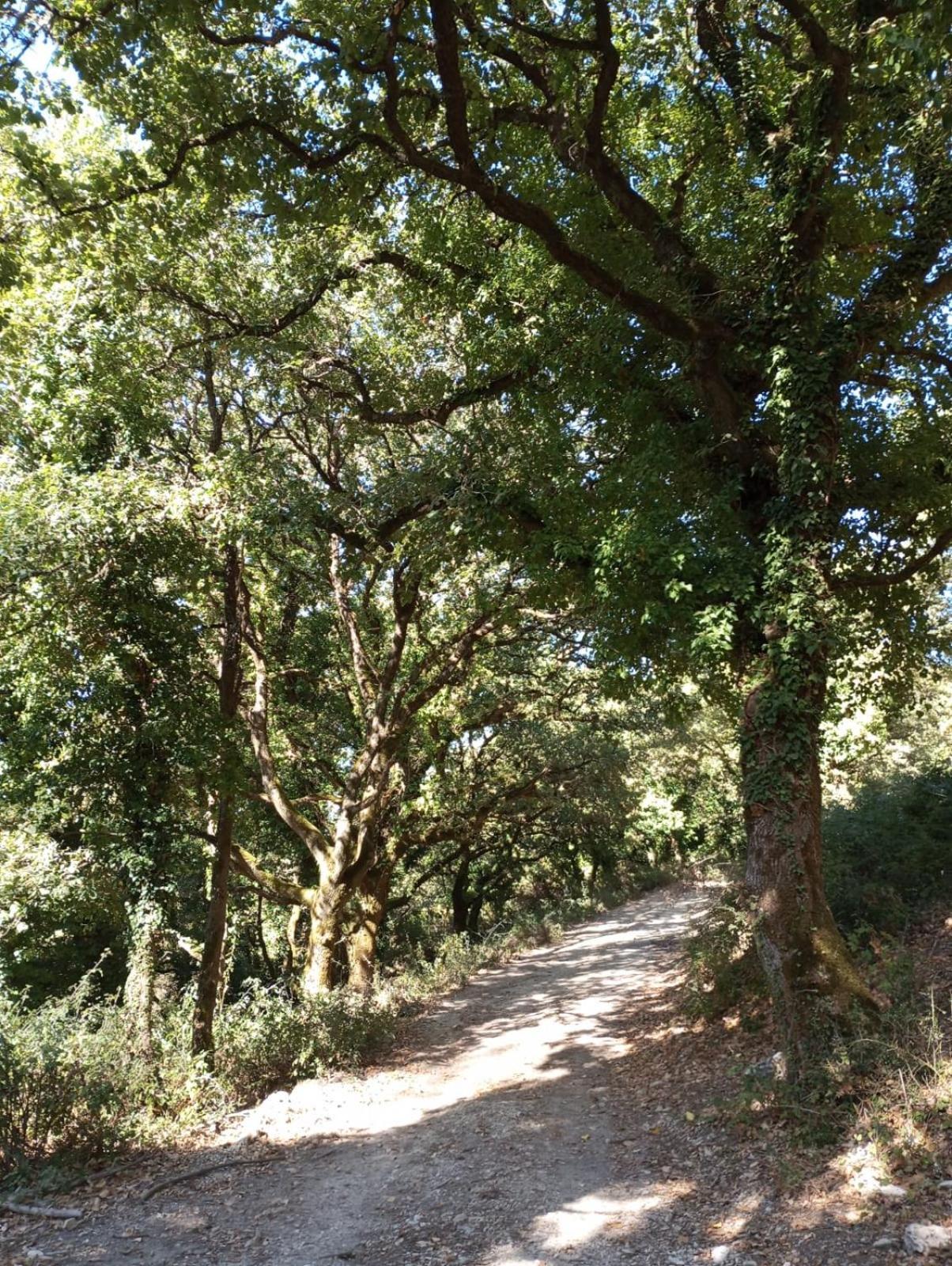 La Casa Di Enza Apartment Santa Margherita di Belice Bagian luar foto